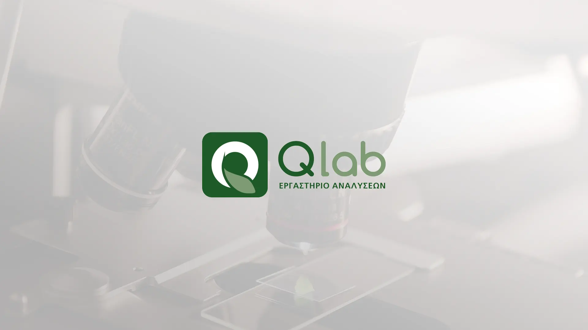 Γνωρίστε την ερευνητική μας ομάδα: Qlab